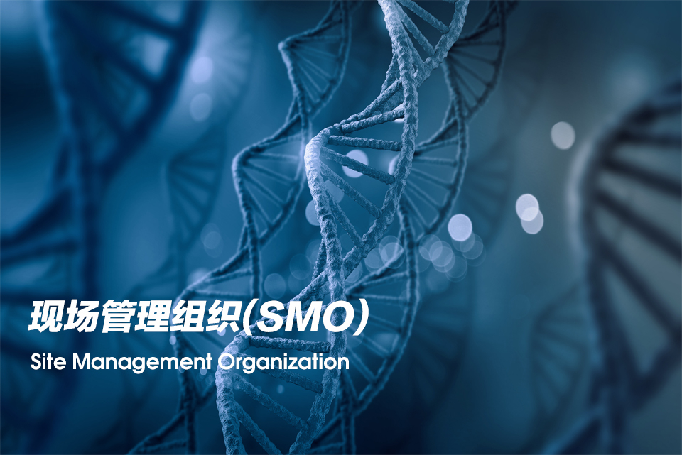 现场管理组织（Site Management Organization，，SMO）